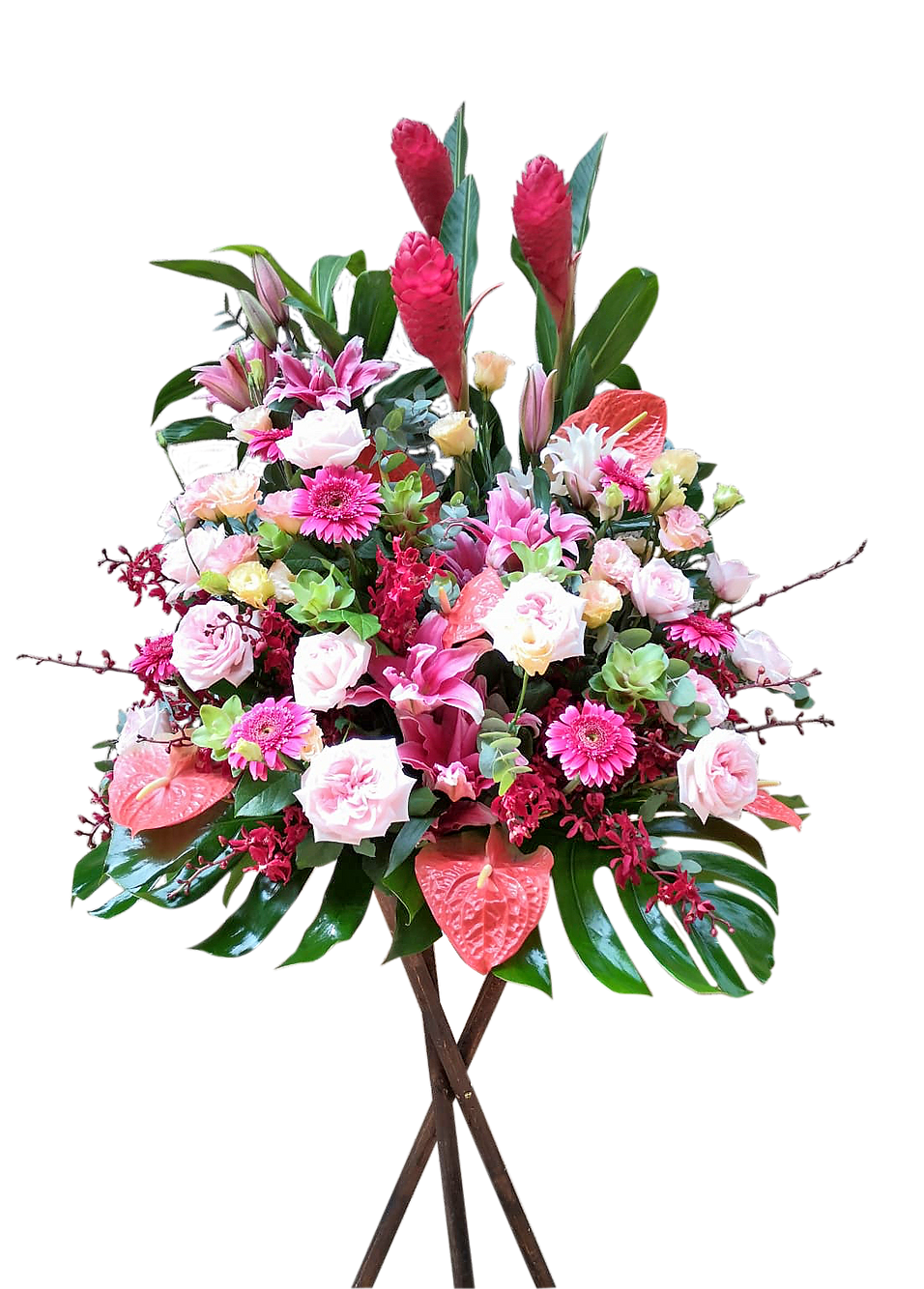 Red ginger flower stand