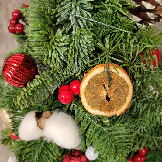 Christmas Mini Nobel Fir Tree with Dried Fruit