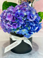 "Eternal Love" Hydrangea with Balloon Fresh Flower Box
