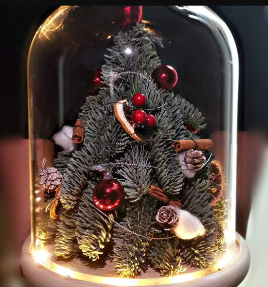 聖誕迷你貴族松樅樹連LED玻璃罩