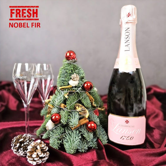 Christmas Mini Nobel Fir Tree & Lanson Champagne Set 750ml