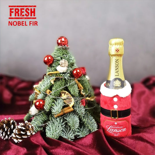 Christmas Mini Nobel Fir Tree & Lanson Black Label Champagne 200ml