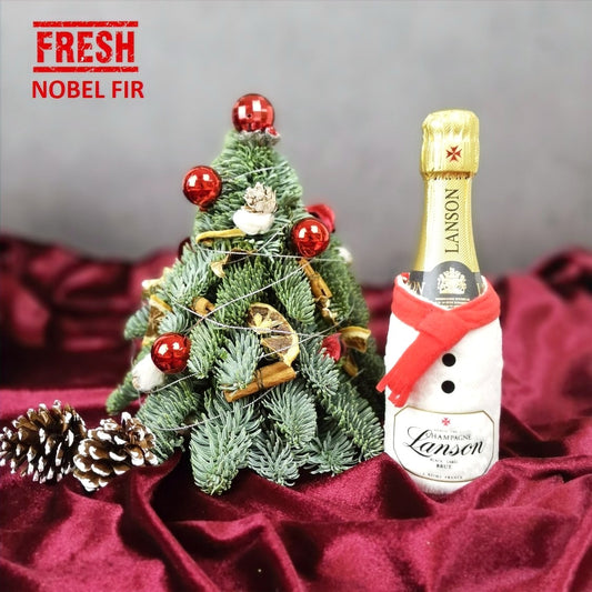 Christmas Mini Nobel Fir Tree & Lanson Black Label Champagne 200ml